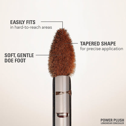 Power Plush Longwear Concealer